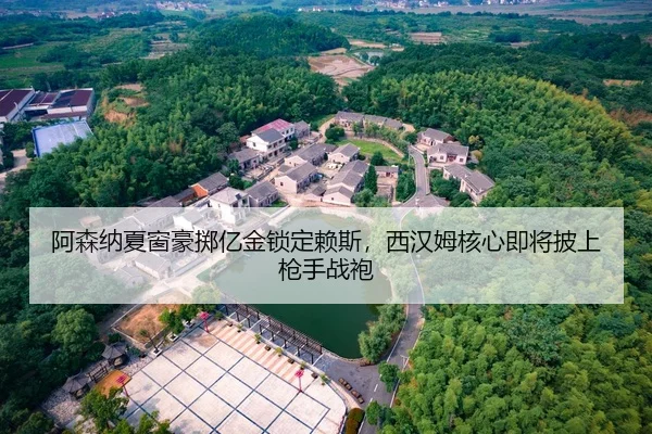 a-sen-na-xia-chuang-hao-zhi-yi-jin-suo-ding-lai-si-xi-han-mu-he-xin-ji-jiang-pi-shang-qiang-shou-zhan-pao-2-114.jpg